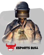 ESports Bull